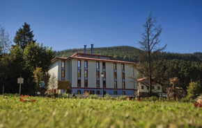 Hotels in Areatza